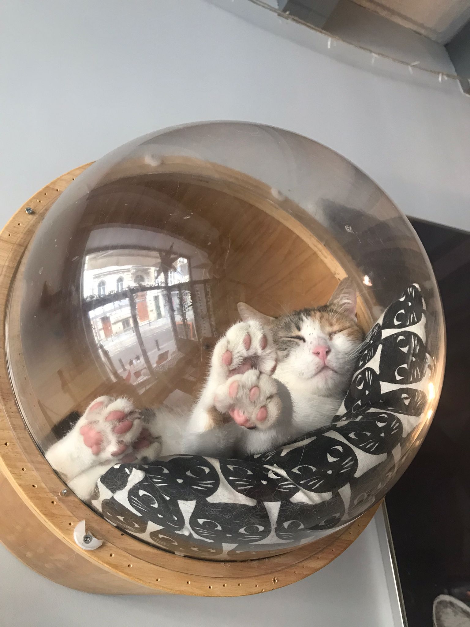 Photo n° 2 de l'avis de Titia.H fait le 18/06/2023 à 21:38