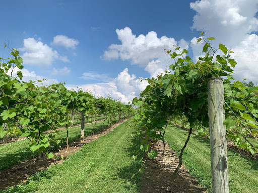 Winery «Bokes Creek Winery», reviews and photos, 26211 OH-31, Raymond, OH 43067, USA