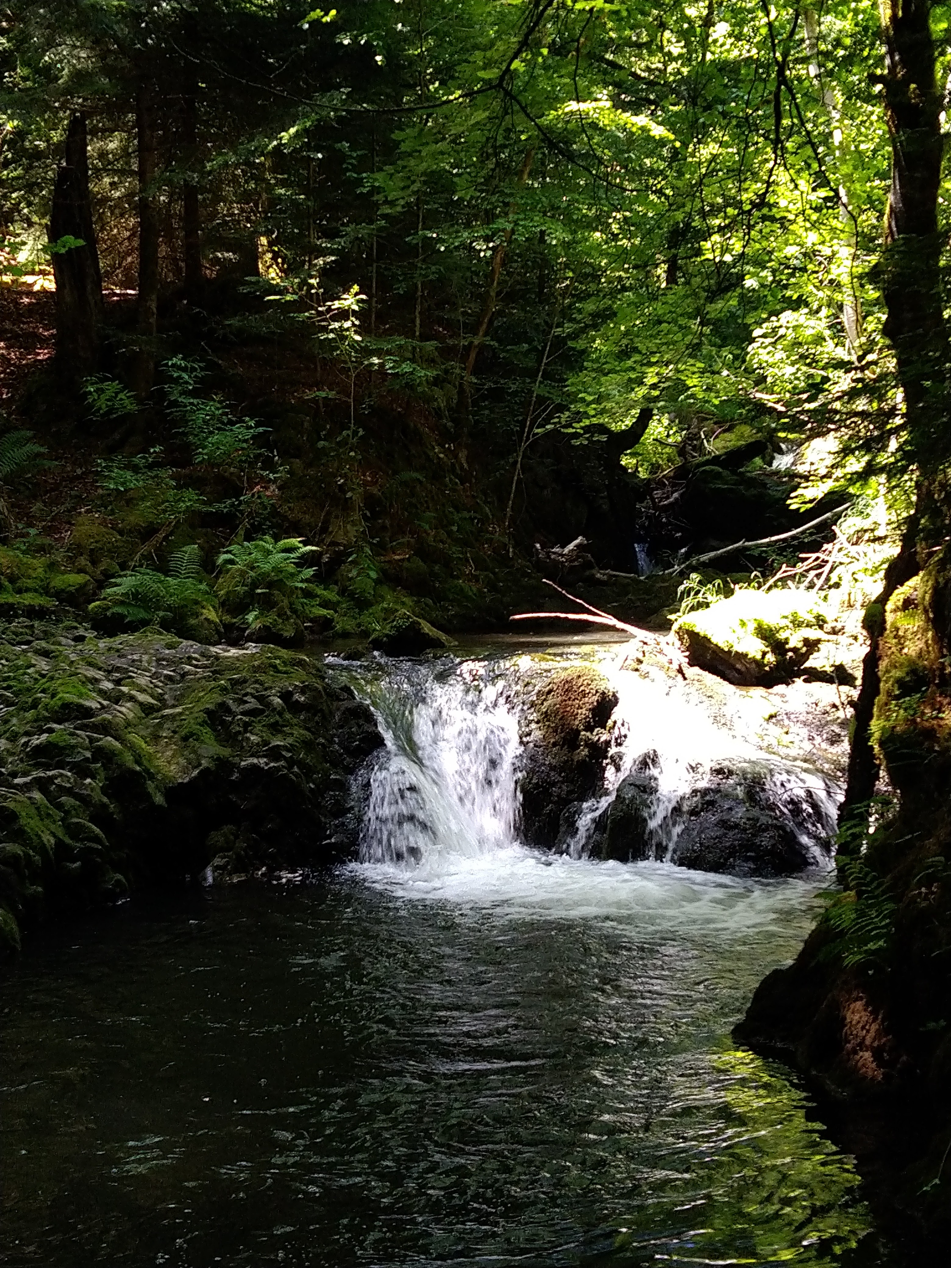 Photo n° 2 de l'avis de Francoise.e fait le 18/06/2021 à 13:16