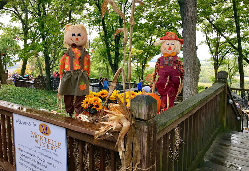 Winery «Montelle Winery», reviews and photos, 201 Montelle Dr, Augusta, MO 63332, USA