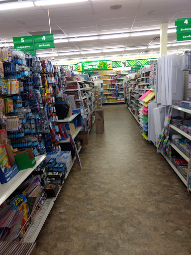 Dollar Store «Dollar Tree», reviews and photos, 8491 Grand River Ave, Brighton, MI 48116, USA