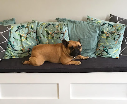 Voo Vets Pyrford en Woking