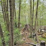 Photo n°2 de l'avis de Kim.a fait le 02/05/2024 à 18:35 sur le  Freizeitpark Plohn à Lengenfeld