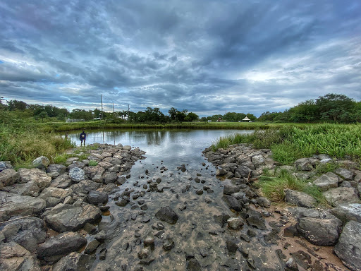 Park «Lemon Creek Park», reviews and photos, Hylan Blvd, Staten Island, NY 10309, USA