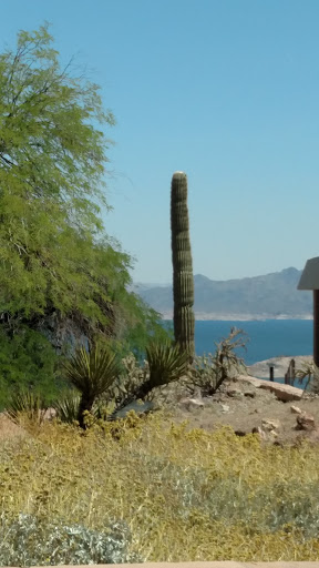 Visitor Center «Lake Mead National Recreation Area Headquarters», reviews and photos