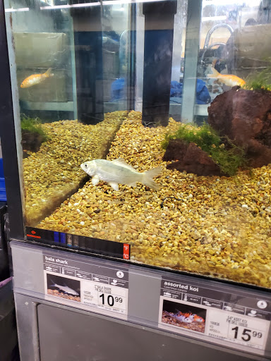 Pet Supply Store «Petco Animal Supplies», reviews and photos, 12050 Industry Blvd, Jackson, CA 95642, USA