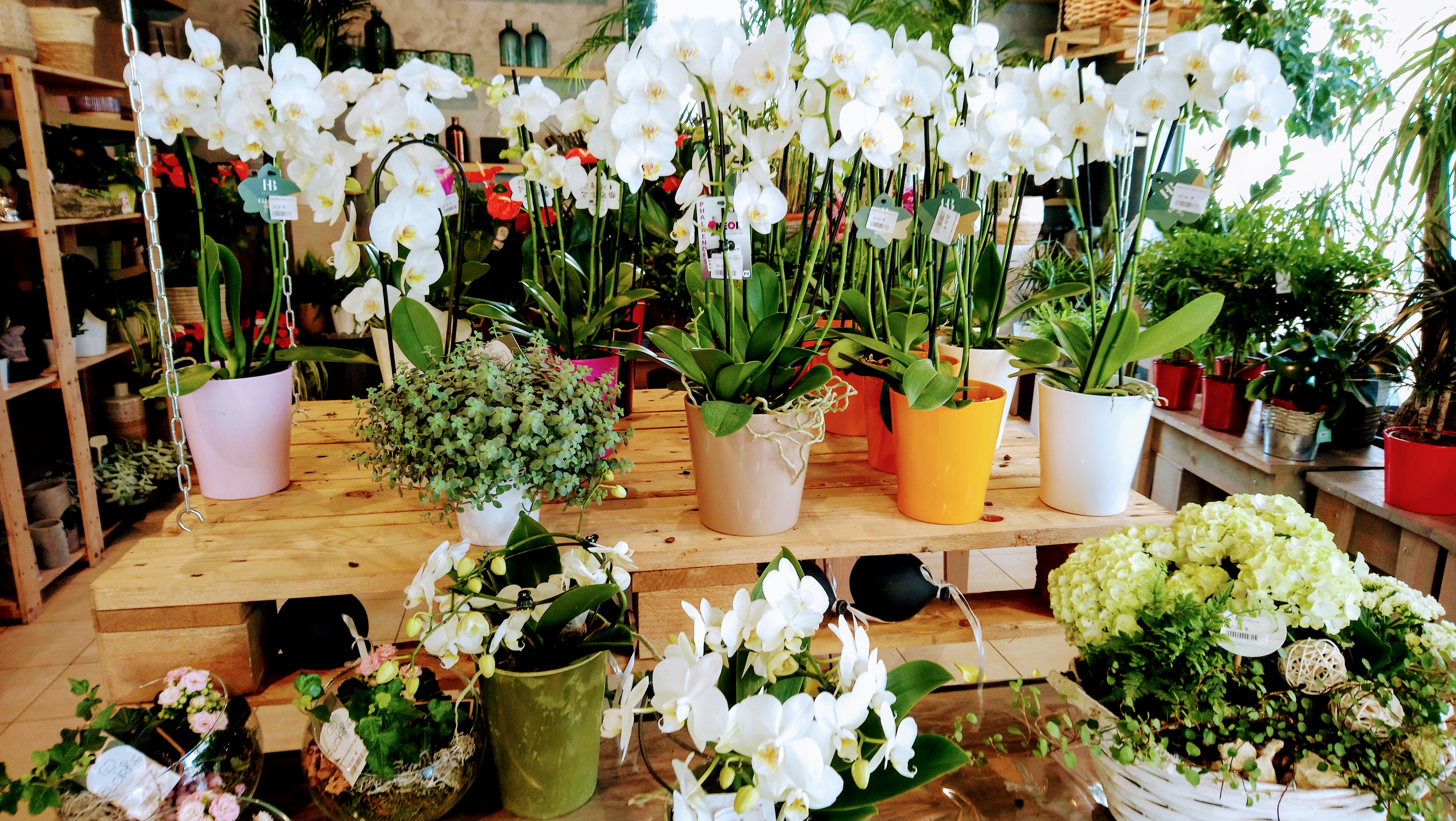 Photo n° 11 de l'avis de Le.a fait le 13/07/2020 à 20:50