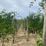 Photo n°2 de l'avis de Yulia. fait le 28/09/2022 à 08:17 sur le  Camping Sole Langhe à Vergne