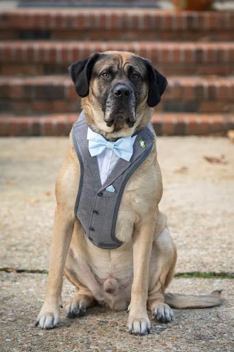 Event Venue «Lesner Inn Catering Club», reviews and photos, 3319 Shore Dr, Virginia Beach, VA 23451, USA