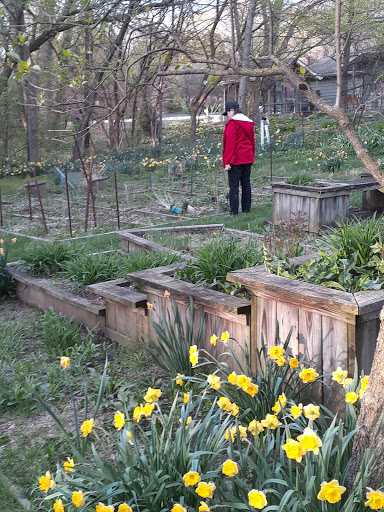 Hardware Store «Palatine Ace Hardware Inc», reviews and photos, 239 E Northwest Hwy, Palatine, IL 60067, USA