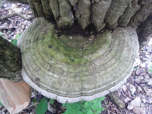 North Lake Park - photo 63