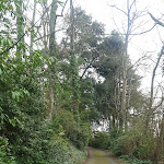 Photo n° 1 de l'avis de Charles.. fait le 14/02/2024 à 09:57 pour Art Hotel Tours à Rochecorbon