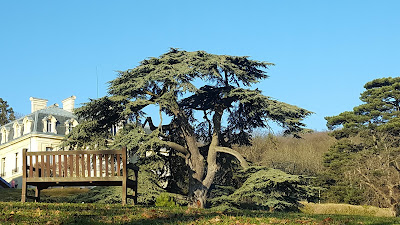 Hôpital Le Parc de Taverny à Taverny