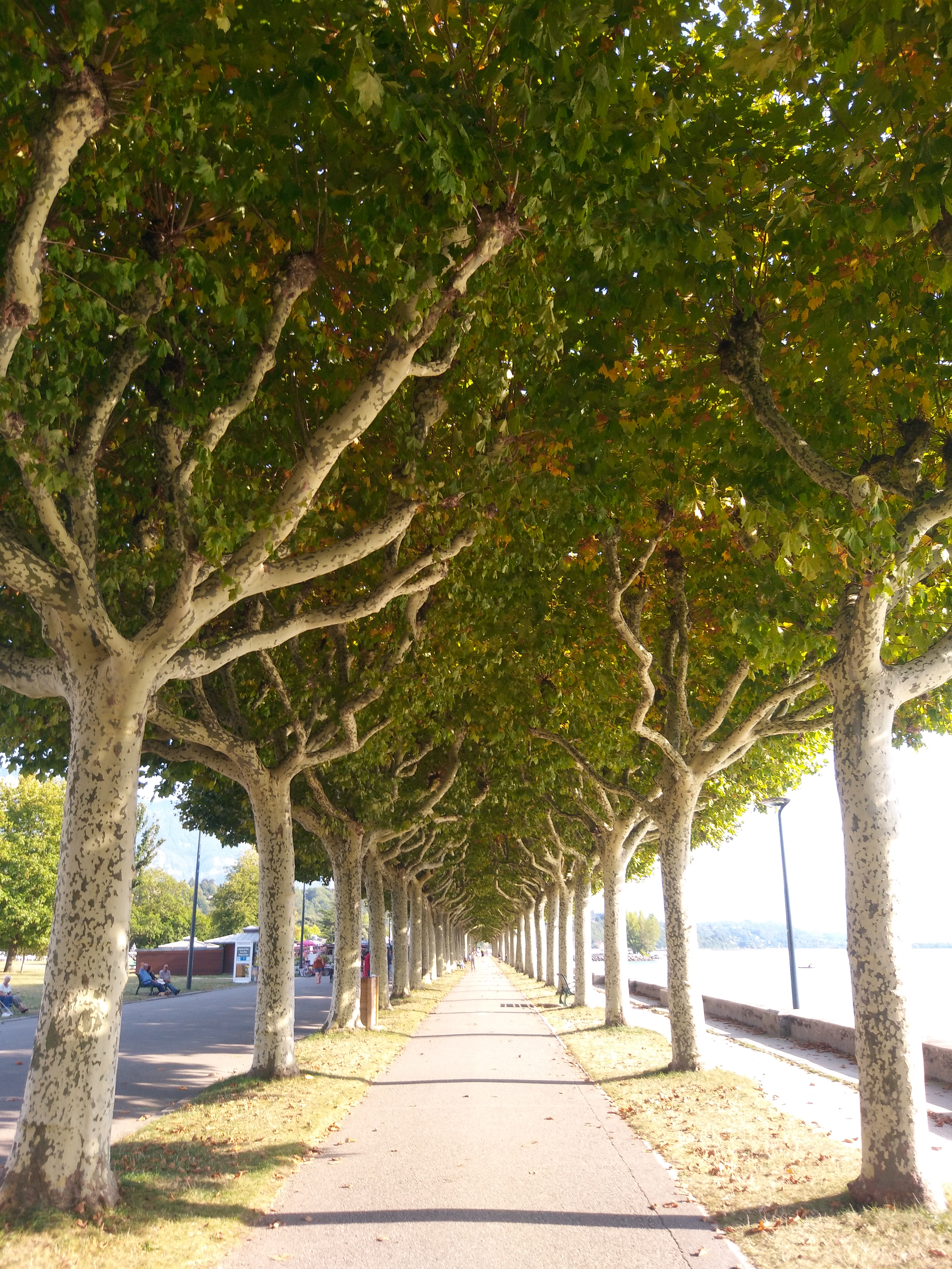 Photo n° 1 de l'avis de Alice.. fait le 05/09/2018 à 19:24