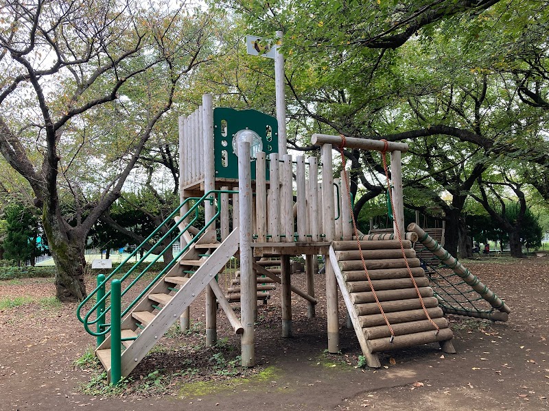 大蔵運動公園アスレチック広場