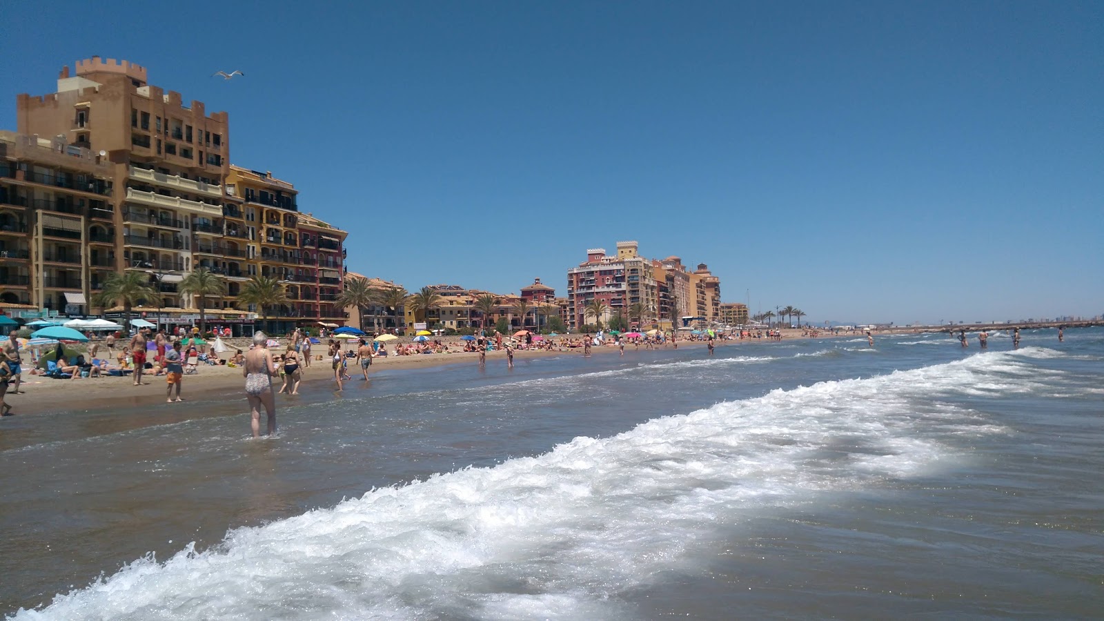 Fotografija Plaža Port Saplatja z zelena voda površino