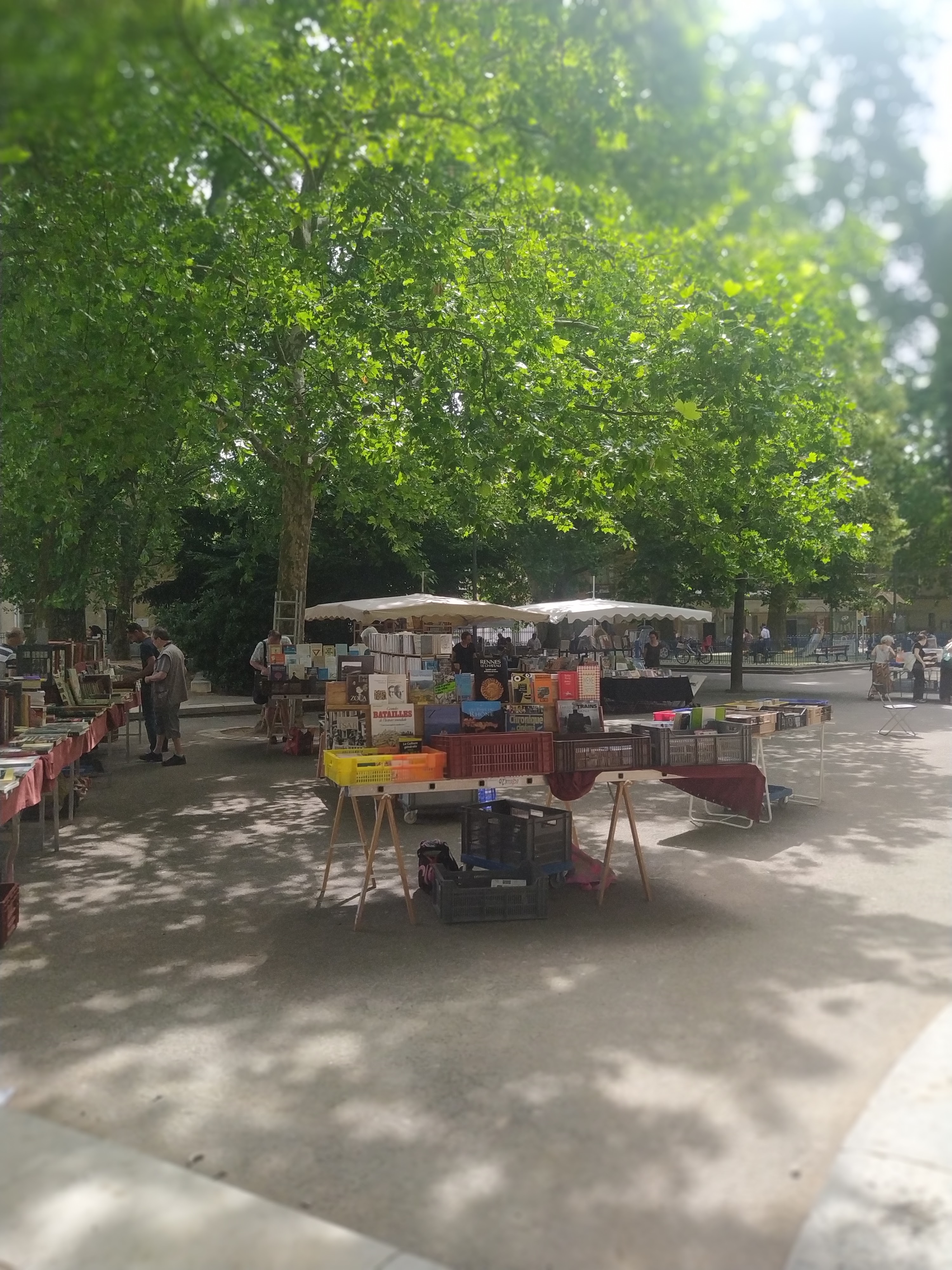 Photo n° 3 de l'avis de Awa.e fait le 19/06/2021 à 14:41
