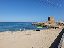 Dolphin beach II'in fotoğrafı küçük koy ile birlikte