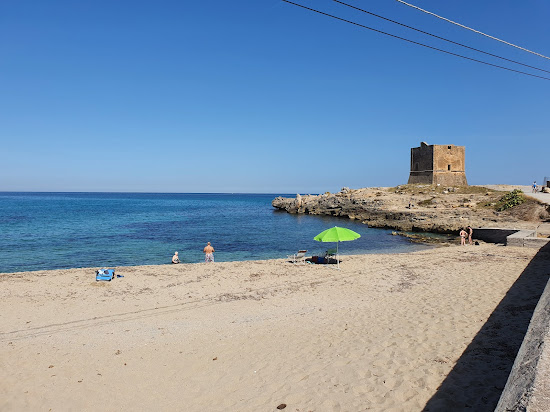 Dolphin beach II