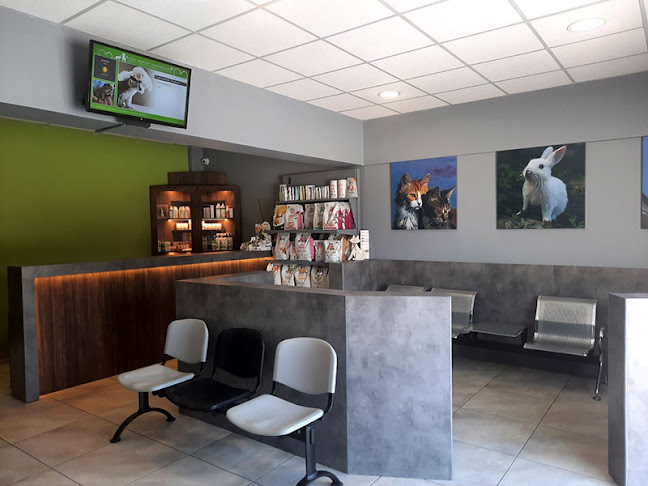 Opinii despre ΚΤΗΝΙΑΤΡΙΚΟ ΚΕΝΤΡΟ - ΚΤΗΝΙΑΤΡΟΙ - ΛΥΓΙΑΣ - ΝΕΟΦΥΤΟΥ - ΜΑΡΚΟΠΟΥΛΟ în Μαρκόπουλο Μεσογαίας - Κτηνίατρος