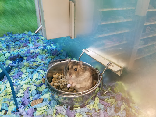 Pet Supply Store «PetSmart», reviews and photos, 2997 Max Ave, Bozeman, MT 59718, USA