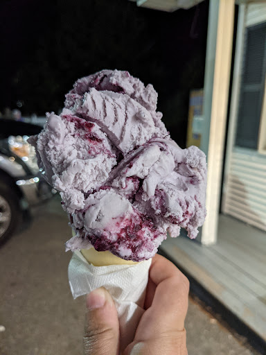 Ice Cream Shop «Blueberry Hill Dairy Bar», reviews and photos, 355 High St, Ellsworth, ME 04605, USA