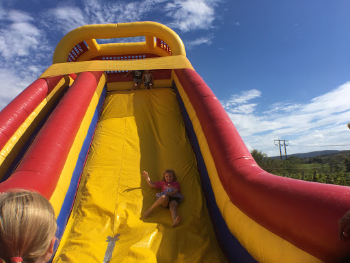 Winery «Spyglass Ridge Winery», reviews and photos, 105 Carroll Rd, Sunbury, PA 17801, USA