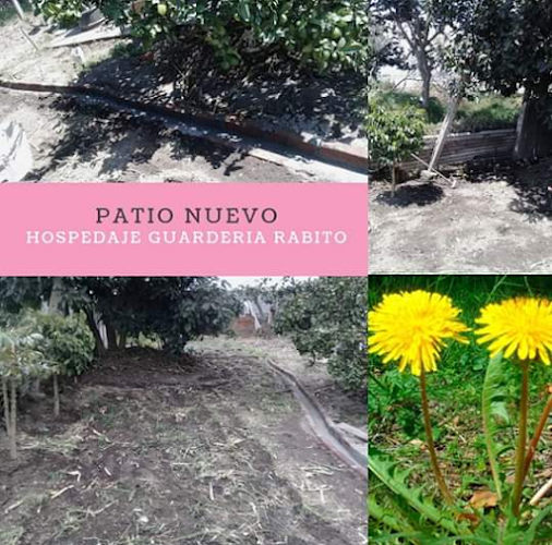 Hopedaje Guarderia Rabito - Quito