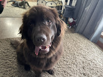 Amazing Grace Farm and Pet Boarding - Photo 4 - Car repair in Port Crane, NY, Binghamton