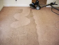 Milwaukee Area Carpet Cleaning - Car repair in Wauwatosa, WI, Milwaukee - Rated 4.7/5