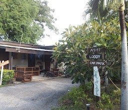 Lemon Tree Resort photo