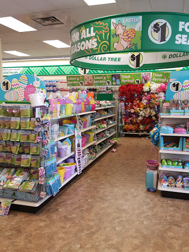 Dollar Store «Dollar Tree», reviews and photos, 9055 Biscayne Blvd, Miami Shores, FL 33138, USA