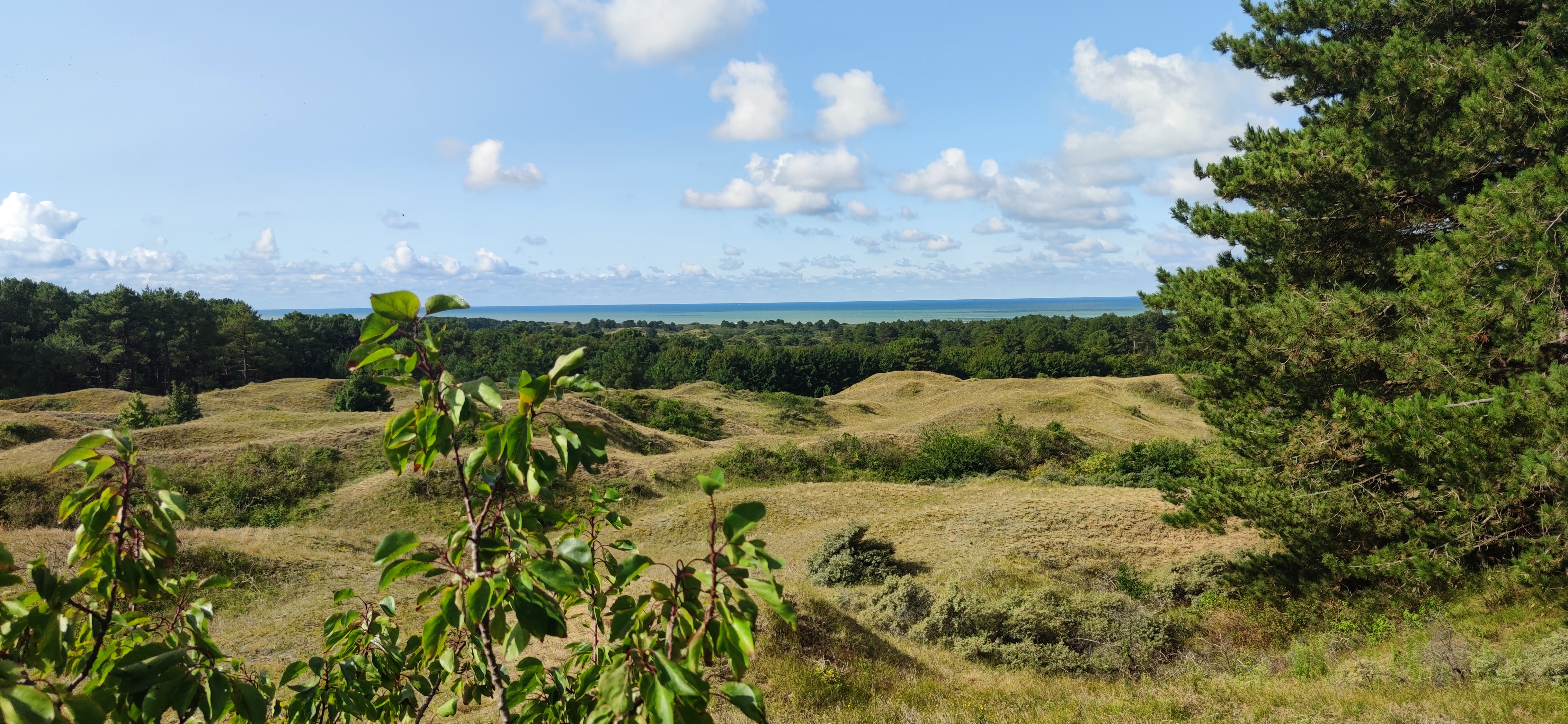Photo n° 8 de l'avis de François.C fait le 17/09/2023 à 19:36