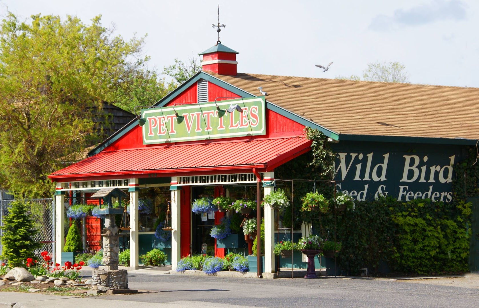 Pet Vittles - Wild Bird West