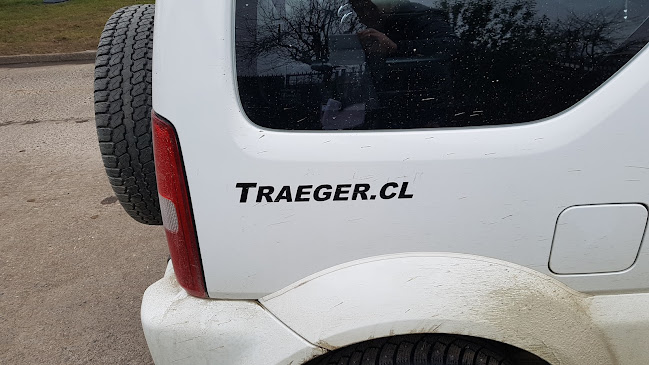 Opiniones de Traeger Schwarz Oscar Rolf en Coyhaique - Tienda de neumáticos