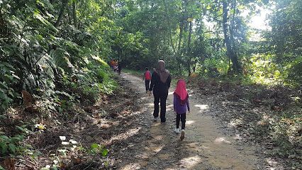 Hiking Trail