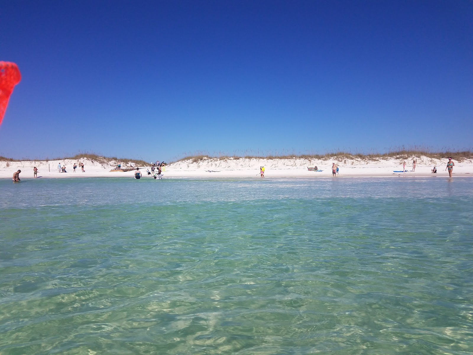 Φωτογραφία του Shell Island Beach άγρια περιοχή