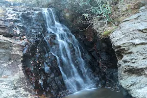 Upper Cascade Falls image