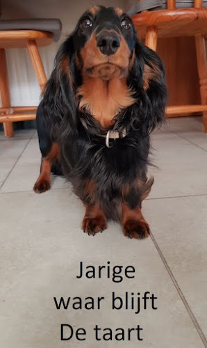 Rubbrecht / C. openingstijden