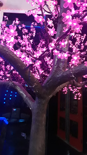 Amusement Park «FunPlex Amusement Park», reviews and photos, 13700 Beechnut St, Houston, TX 77083, USA