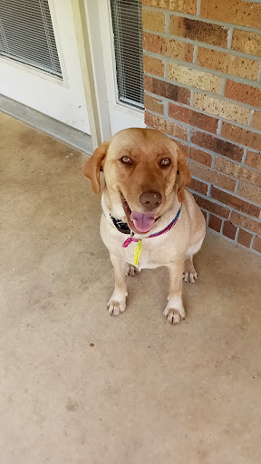 Eastbrook Pet Hospital image