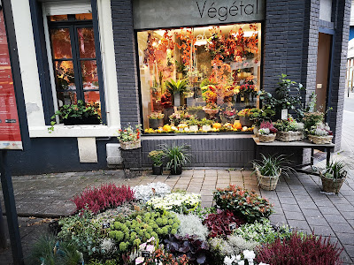Végétal à Valenciennes