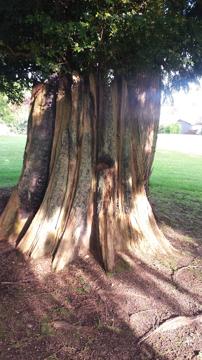 Golf Club «Meadowmeer Golf & Country Club», reviews and photos, 8530 Renny Ln NE, Bainbridge Island, WA 98110, USA