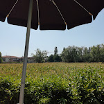 Photo n°1 de l'avis de Giuseppe.t fait le 19/08/2022 à 09:16 sur le  Hotel Plutone à Cervia