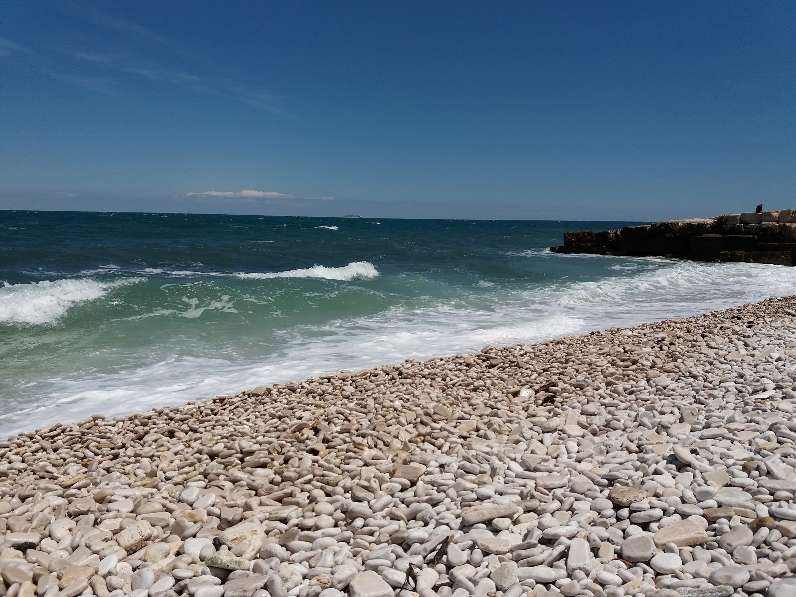 Giovinazzo free Beach'in fotoğrafı geniş bir kıyı şeridi ile birlikte