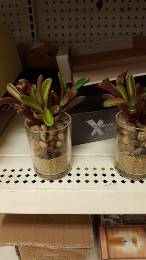 Discount Store «Dirt Cheap», reviews and photos, 902 Mercury Blvd, Murfreesboro, TN 37130, USA