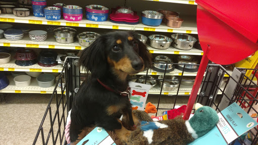 Pet Supply Store «PetSmart», reviews and photos, 534 US-441, Lady Lake, FL 32159, USA