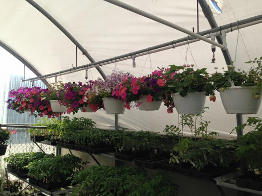 Hardware Store «Valley Park Elevator & Hardware», reviews and photos, 2 Marshall Rd, Valley Park, MO 63088, USA