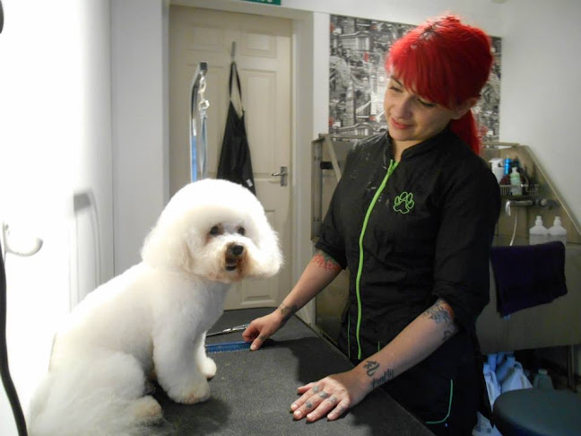 Reviews of Jessica's Dog Grooming in London - Dog trainer
