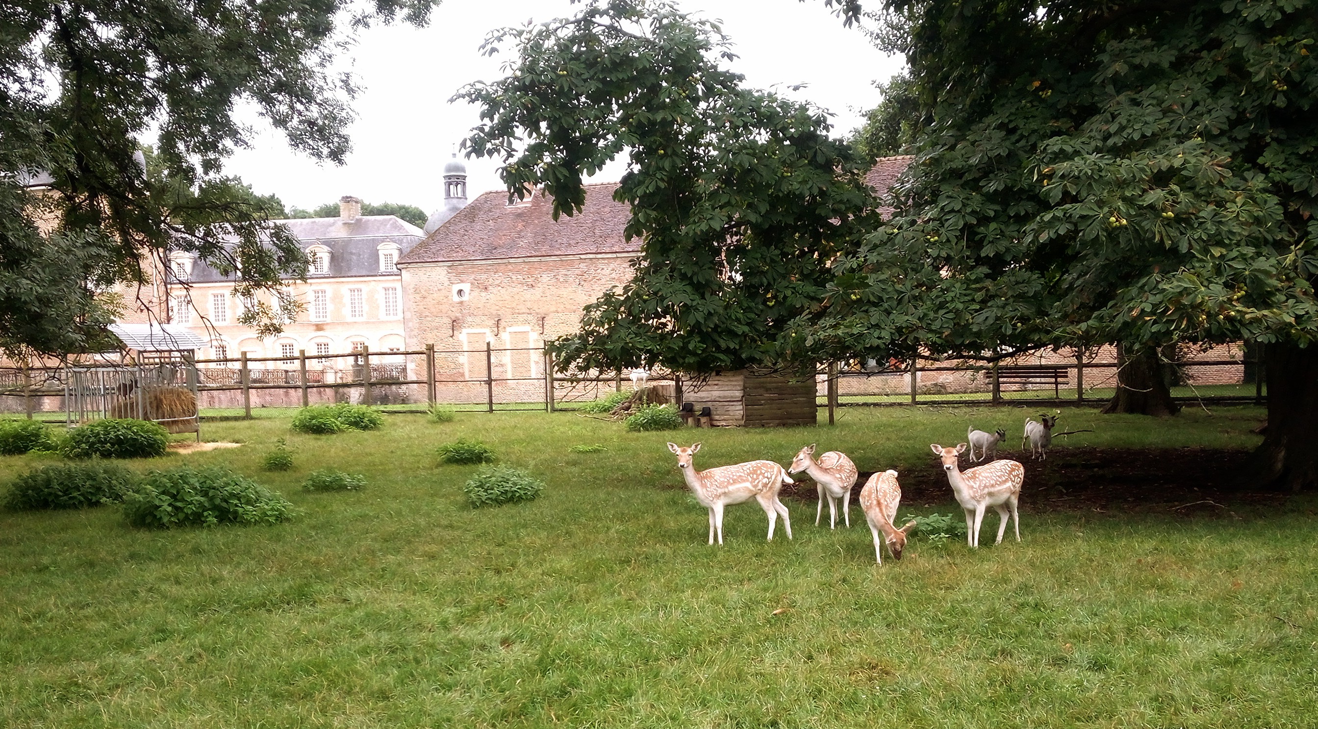 Photo n° 18 de l'avis de P. fait le 29/08/2023 à 12:10